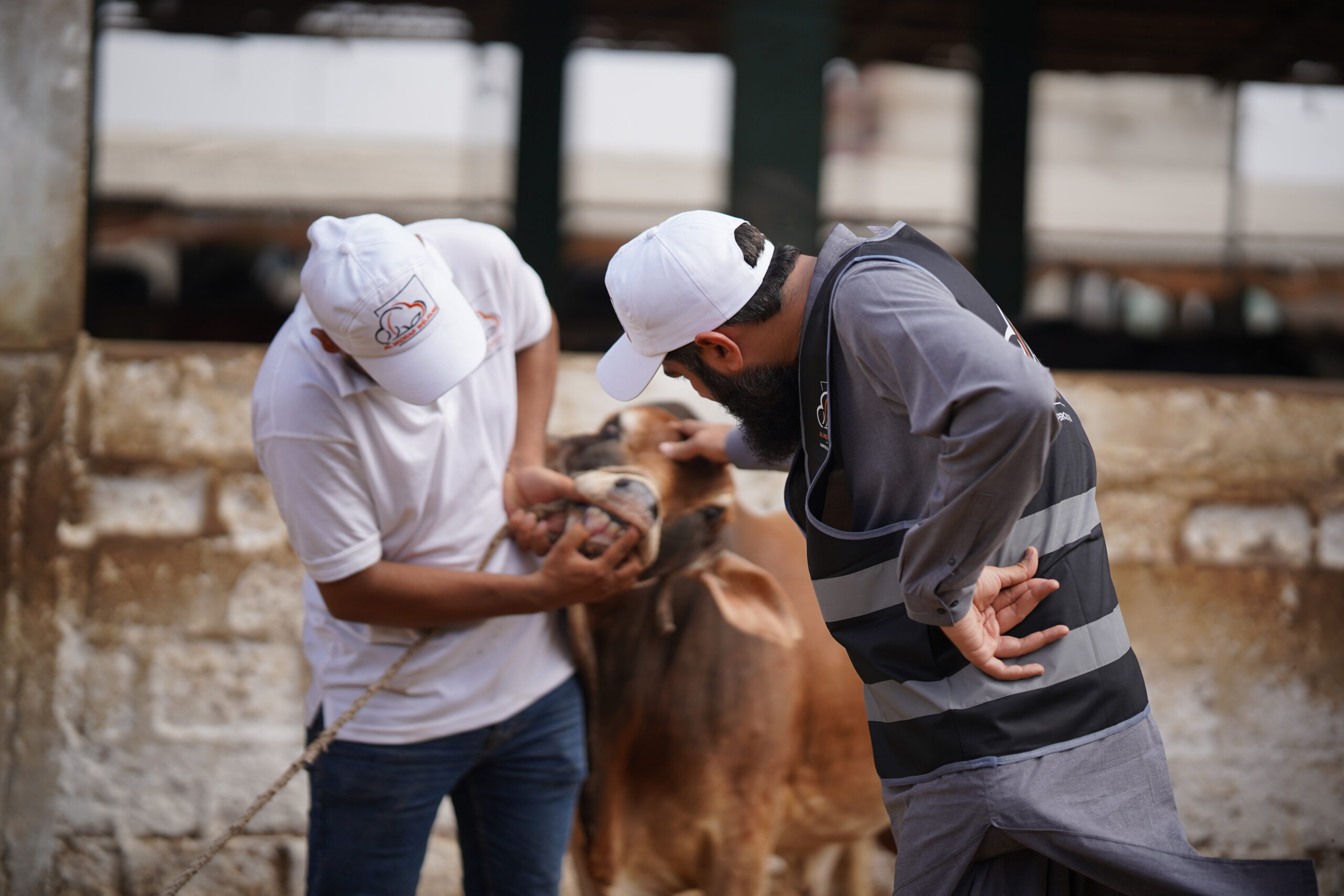 (Al-Midrar-Quarbani-Images-1) (4)