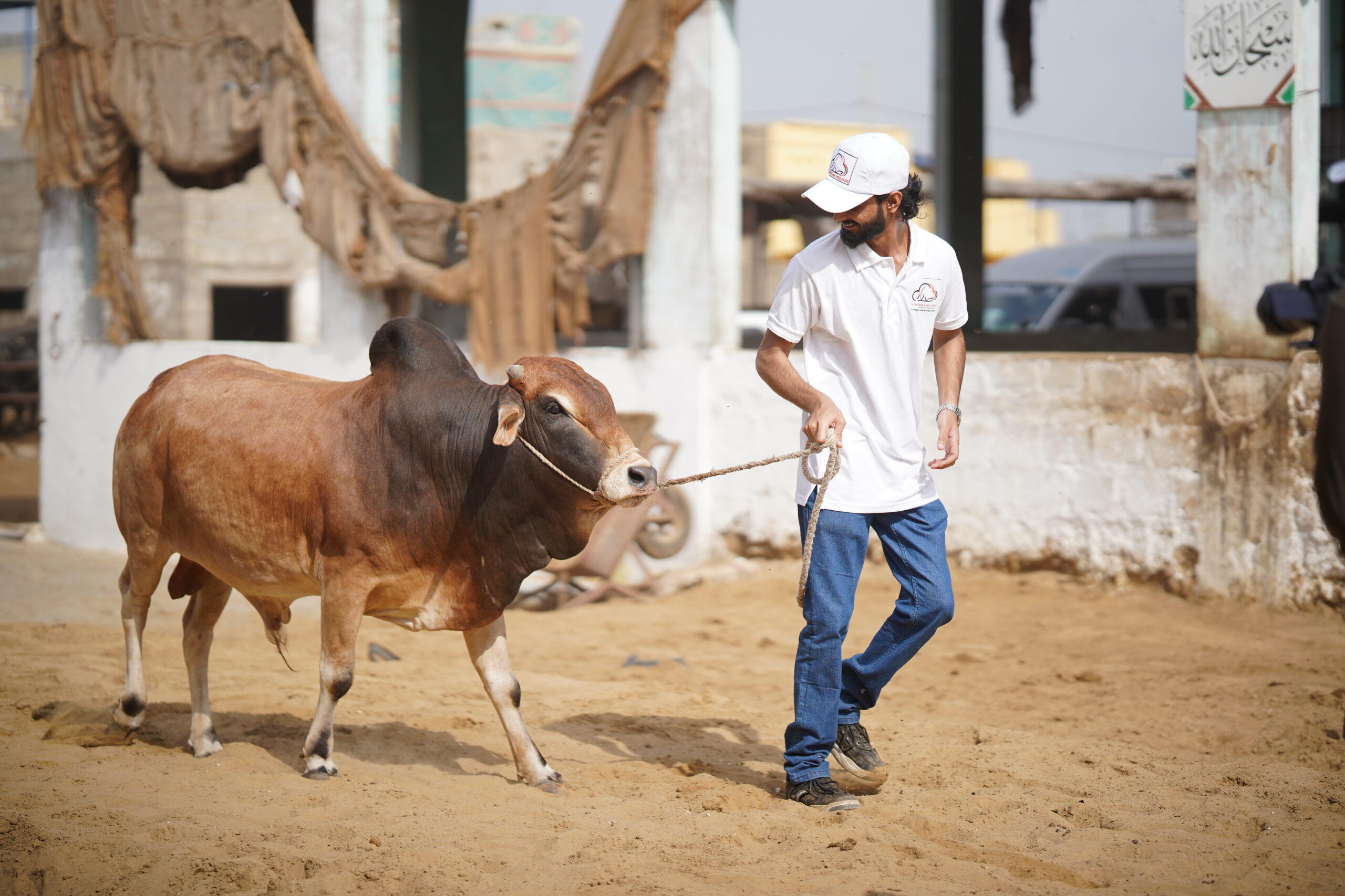 (Al-Midrar-Quarbani-Images-1) (5)